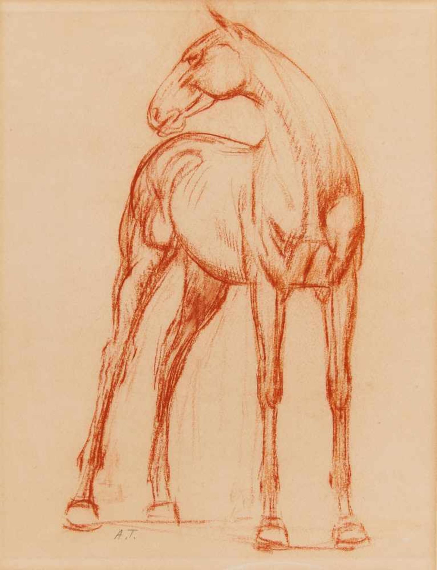 Trémont, AugusteLuxemburg 1892 - 1980Pferd. Rötel auf Velin. 37,5 x 30cm. Monogrammiert unterhalb