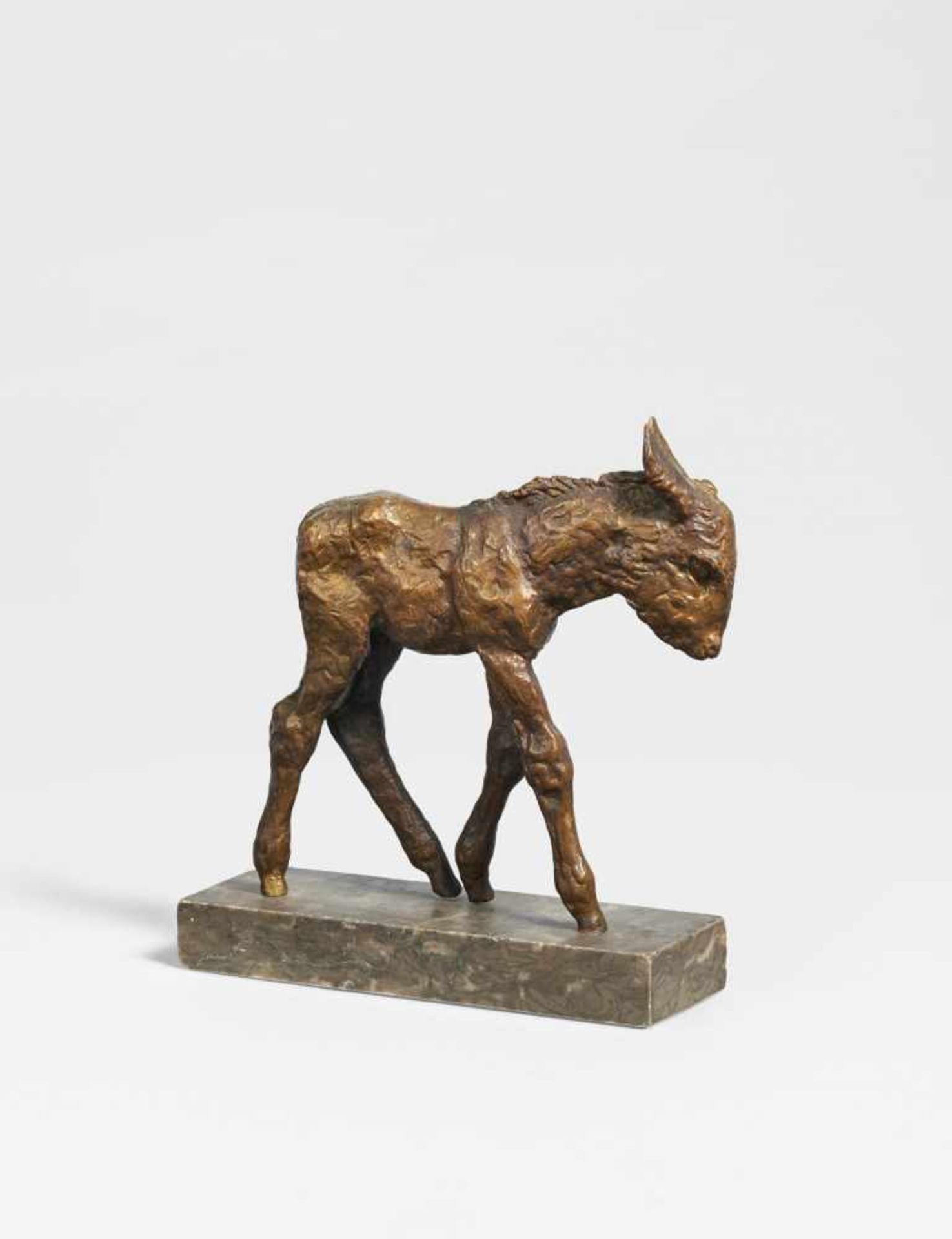 Sintenis, Renée1888 Glatz/Silesia - 1965 BerlinJunger Esel. 1923 (design). Bronze, brown