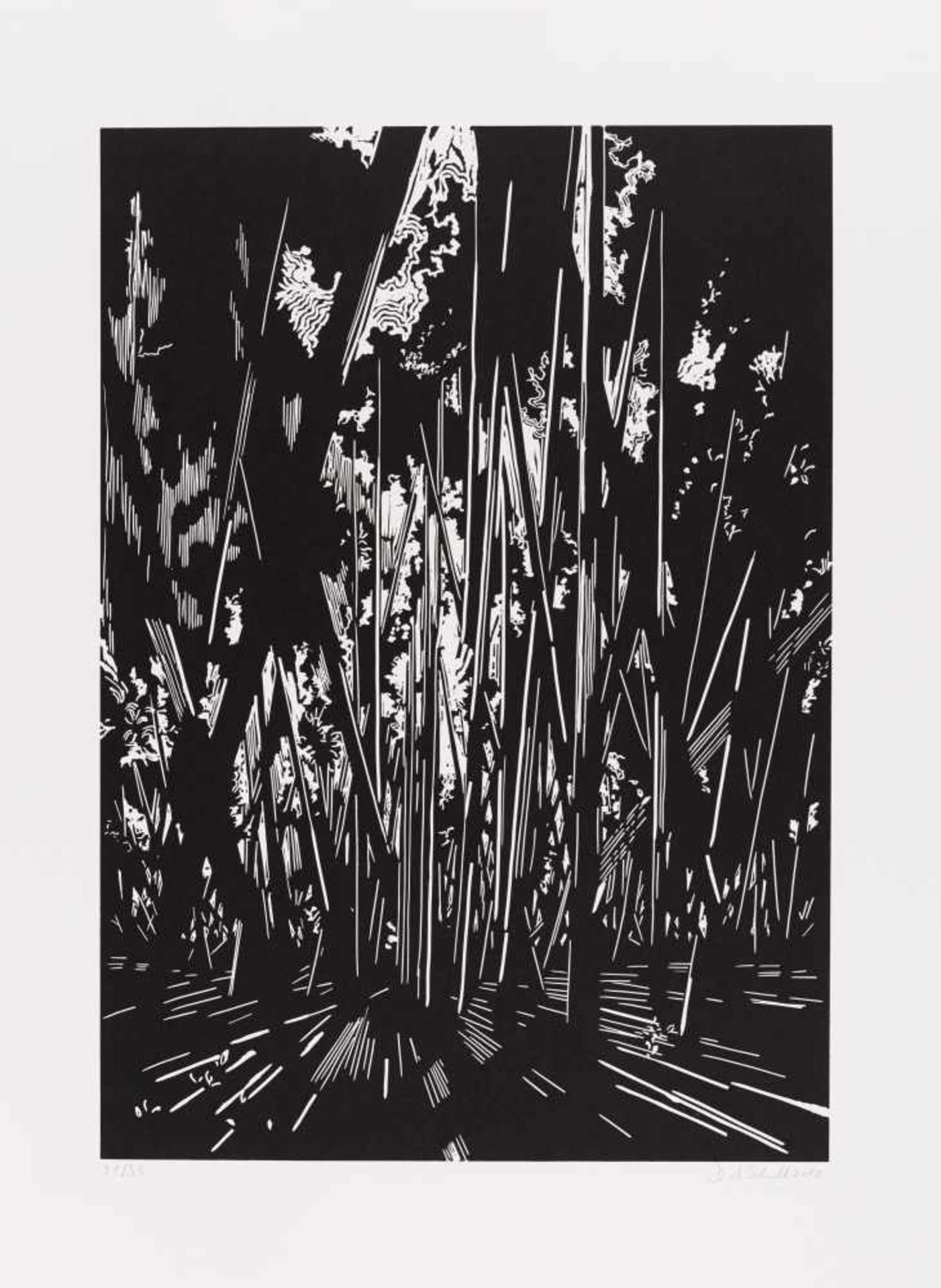 Schnell, David1971 Bergisch GladbachAbkürzung. 2010. Linocut on Somerset England (watermark). 59.5 x