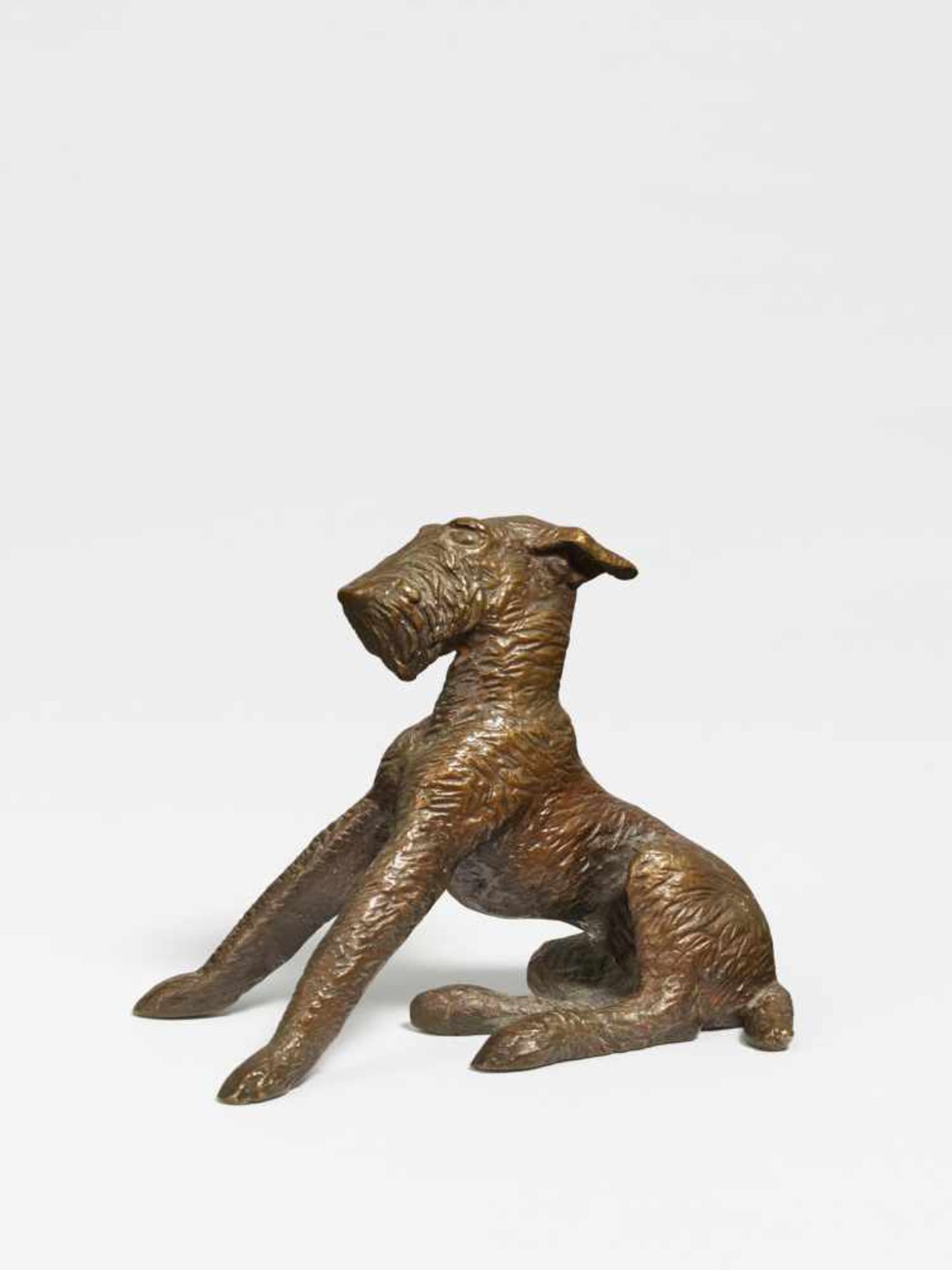 Sintenis, Renée1888 Glatz/Silesia - 1965 BerlinJunger Hund. 1925 (design). Bronze, brown