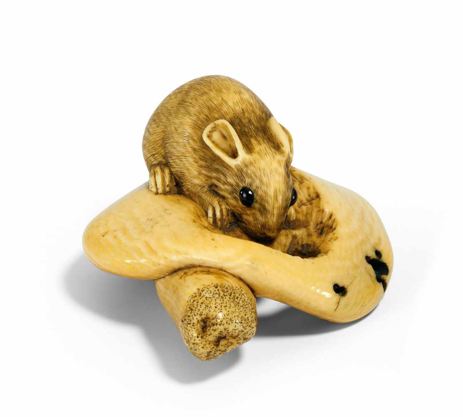 NETSUKE: RAT ON NIBBLED MATSUDAKE MUSHROOM. Japan. 18th c. Ivory, eyes inlaid with dark horn. Length