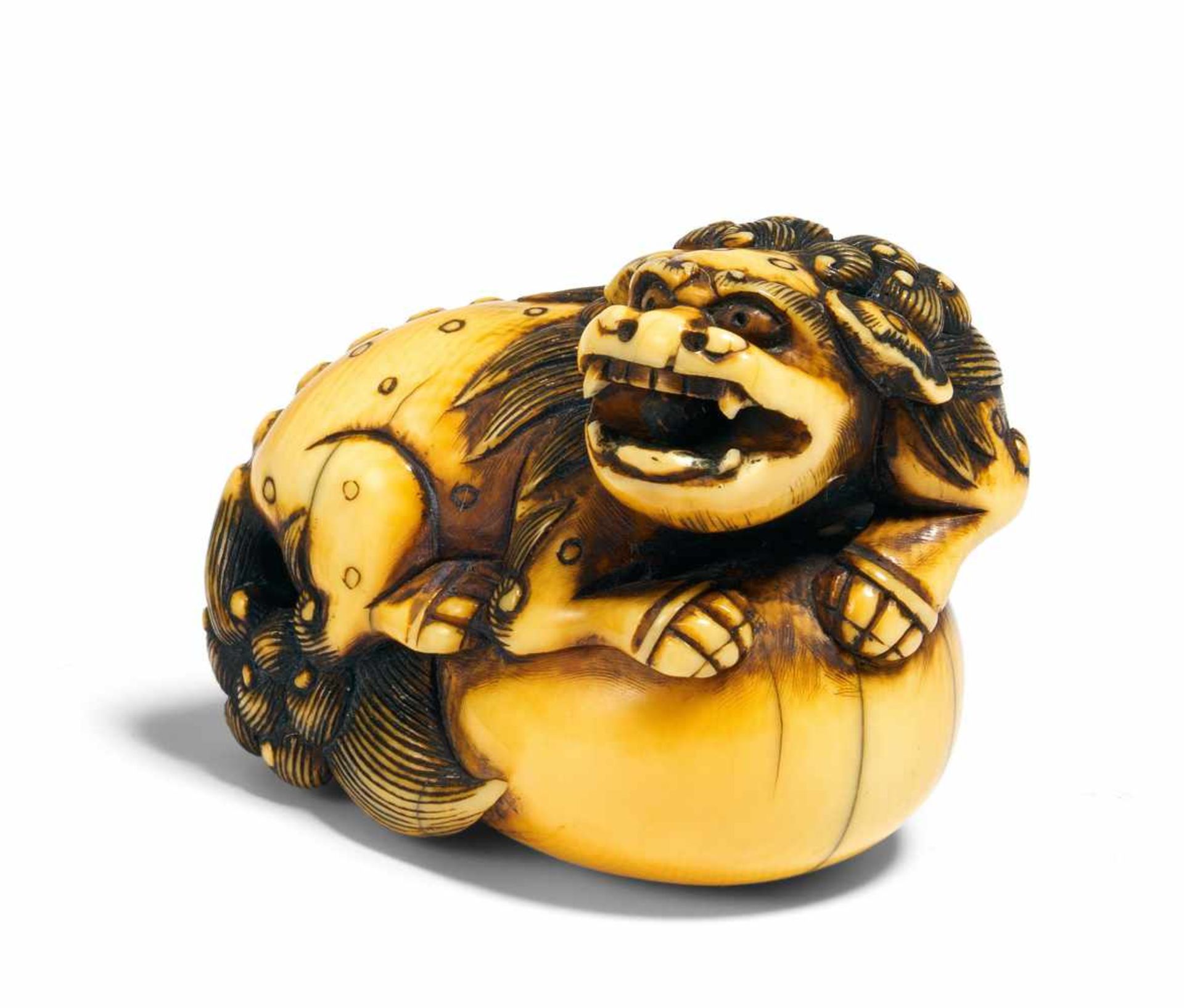 NETSUKE OF A SHISHI LION ON A BIG BALL. Japan. 18th c. Ivory, the engraving stained dark, with amber