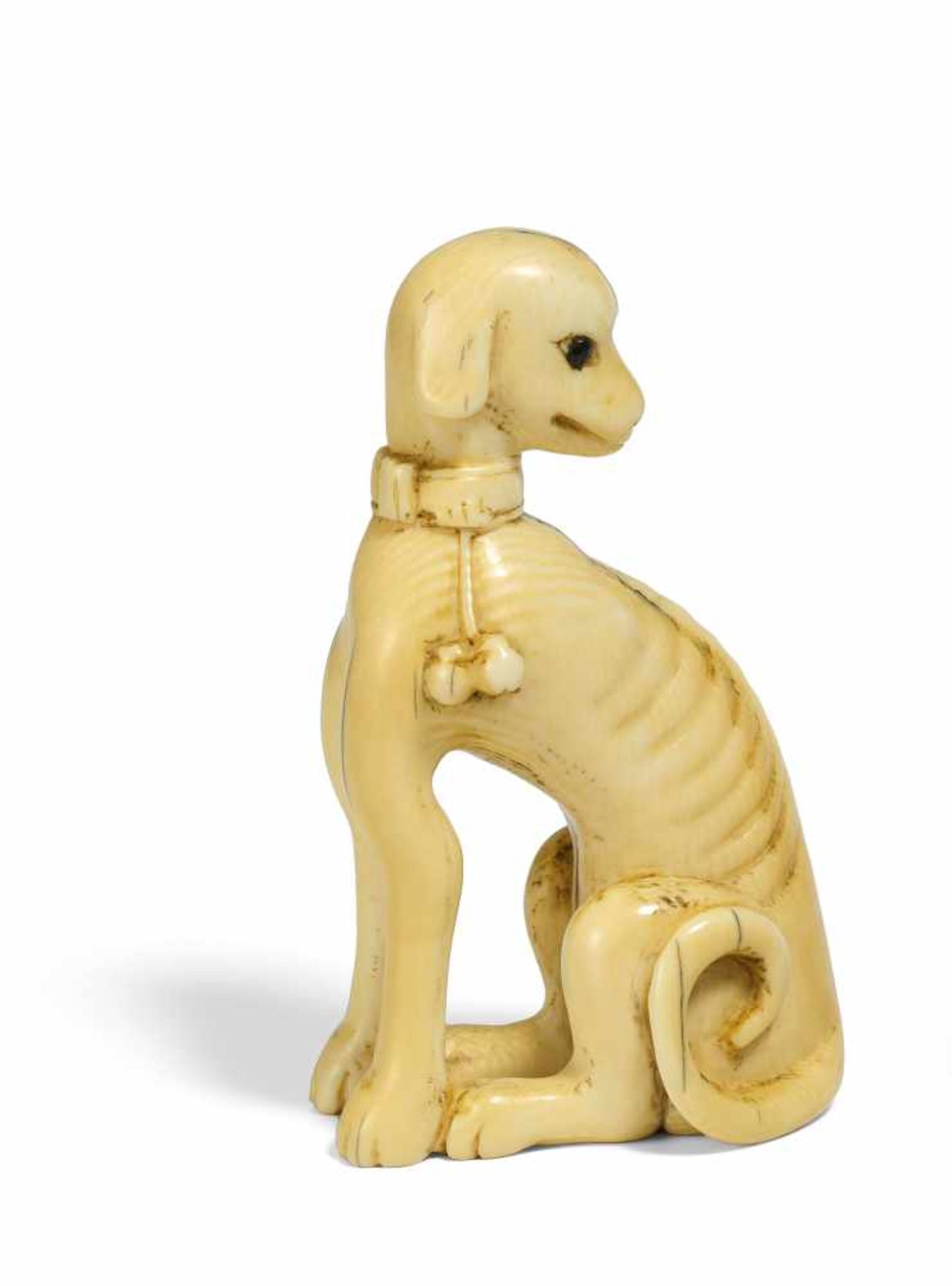 NETSUKE: SITTING GREYHOUND. Japan. 18th/19th c. Ivory, eyes inlaid in dark horn. The filigree