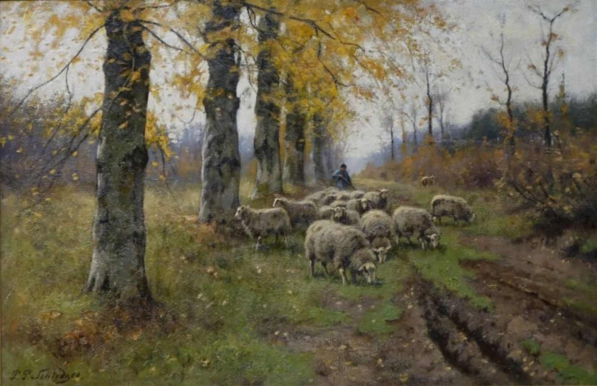 Petrus Paulus II Schiedges jr. (1860-1922)doek, 80 x 121, herder met schapen in het bos,
