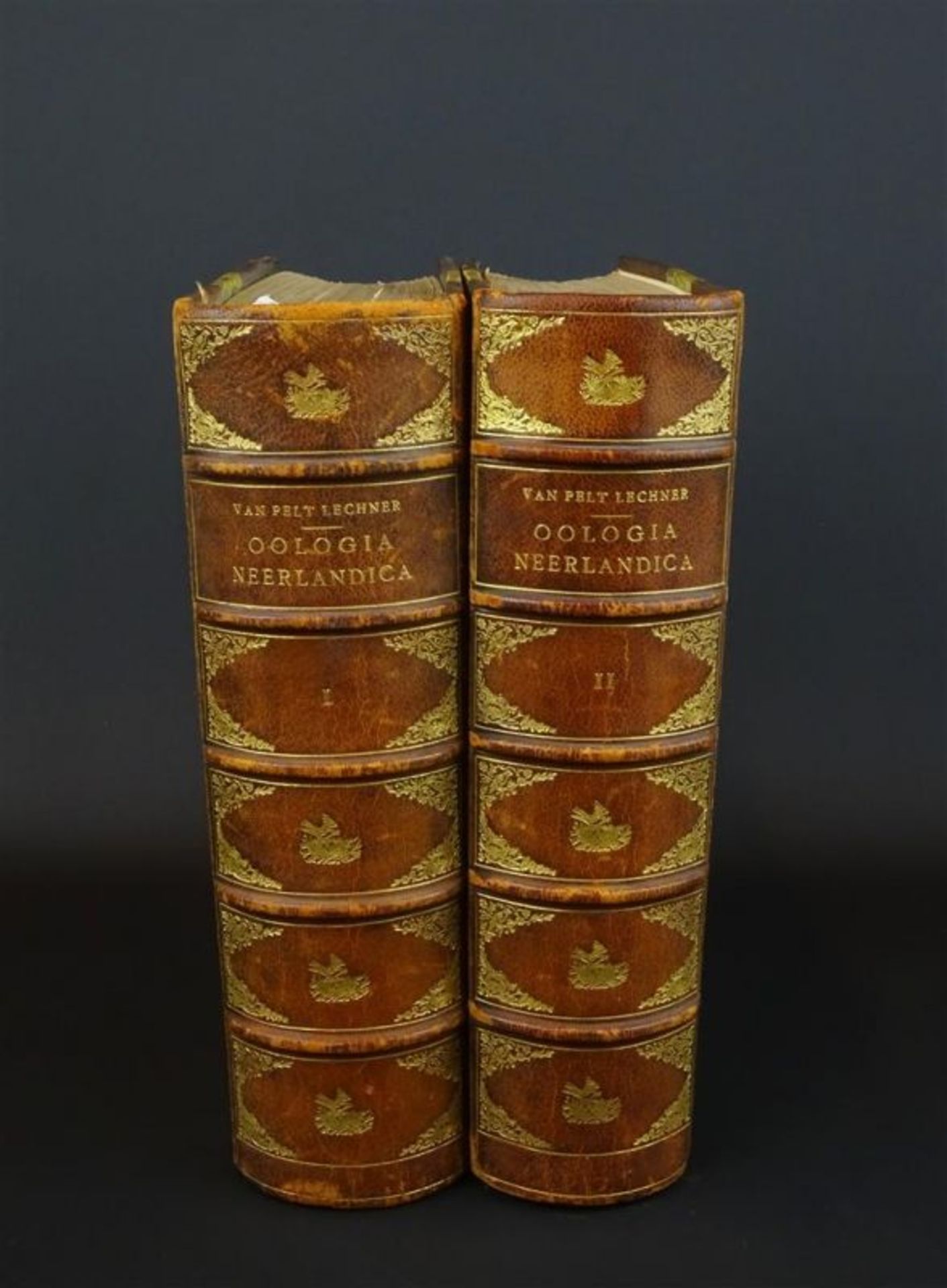 2 boeken: Oologia Neerlandica, De Eieren..., door A.A. van der Pelt Lechner, anno 1913