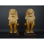 stel Chinese goudbeschilderde bronzen Foo-honden, h. 41 cm. op houten sokkels- - -29.00 % buyer's