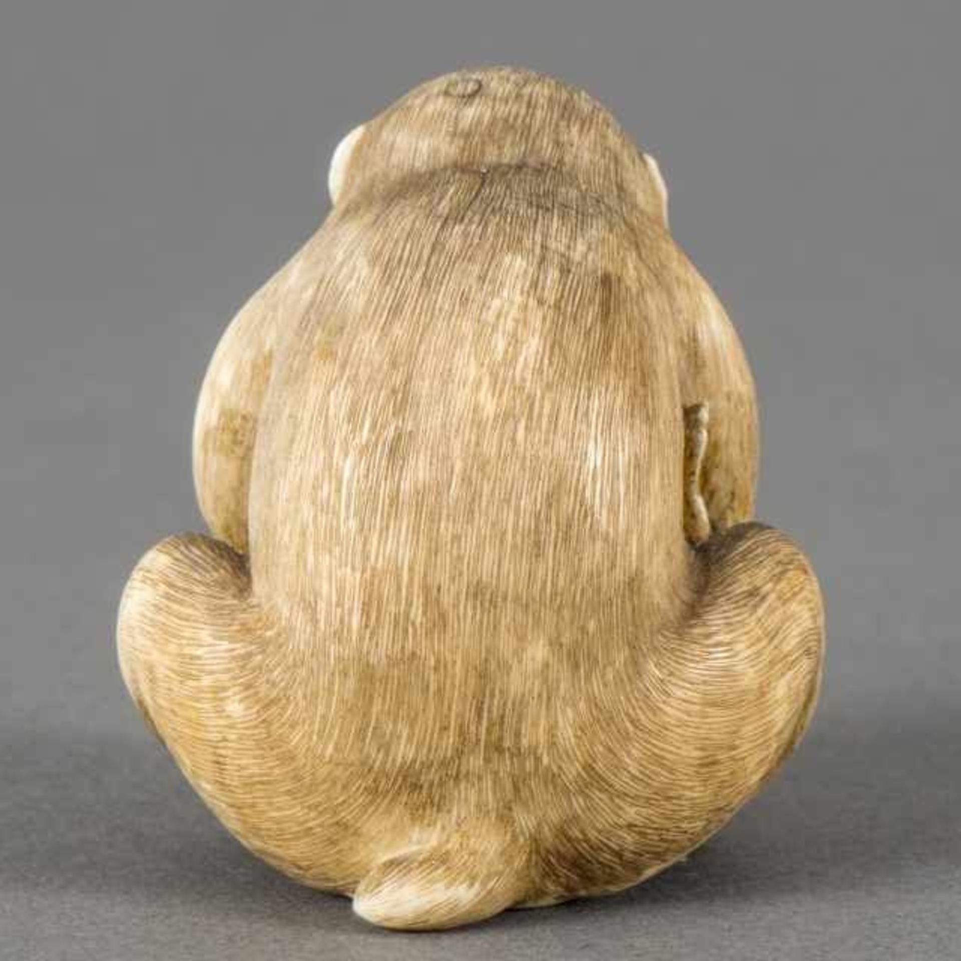 Ivory netsukewith soft coral inlay: monkey eating a kaki while its infant lies before him, Japan, - Bild 2 aus 3