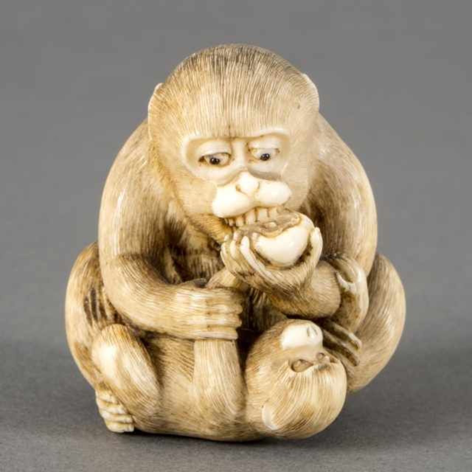 Ivory netsukewith soft coral inlay: monkey eating a kaki while its infant lies before him, Japan,