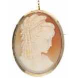 Camee hanger/broche geelgoud, schelp - BWG 10 kt.LxB: 3,8 x 2,9 cm. Gewicht: 9,2 gram.Cameo