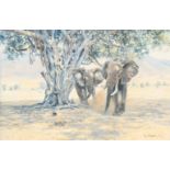 Donald Grant (North Shields, Northumberland, VK 1930 - 2001 ). Afrikaanse olifanten bij een boom.