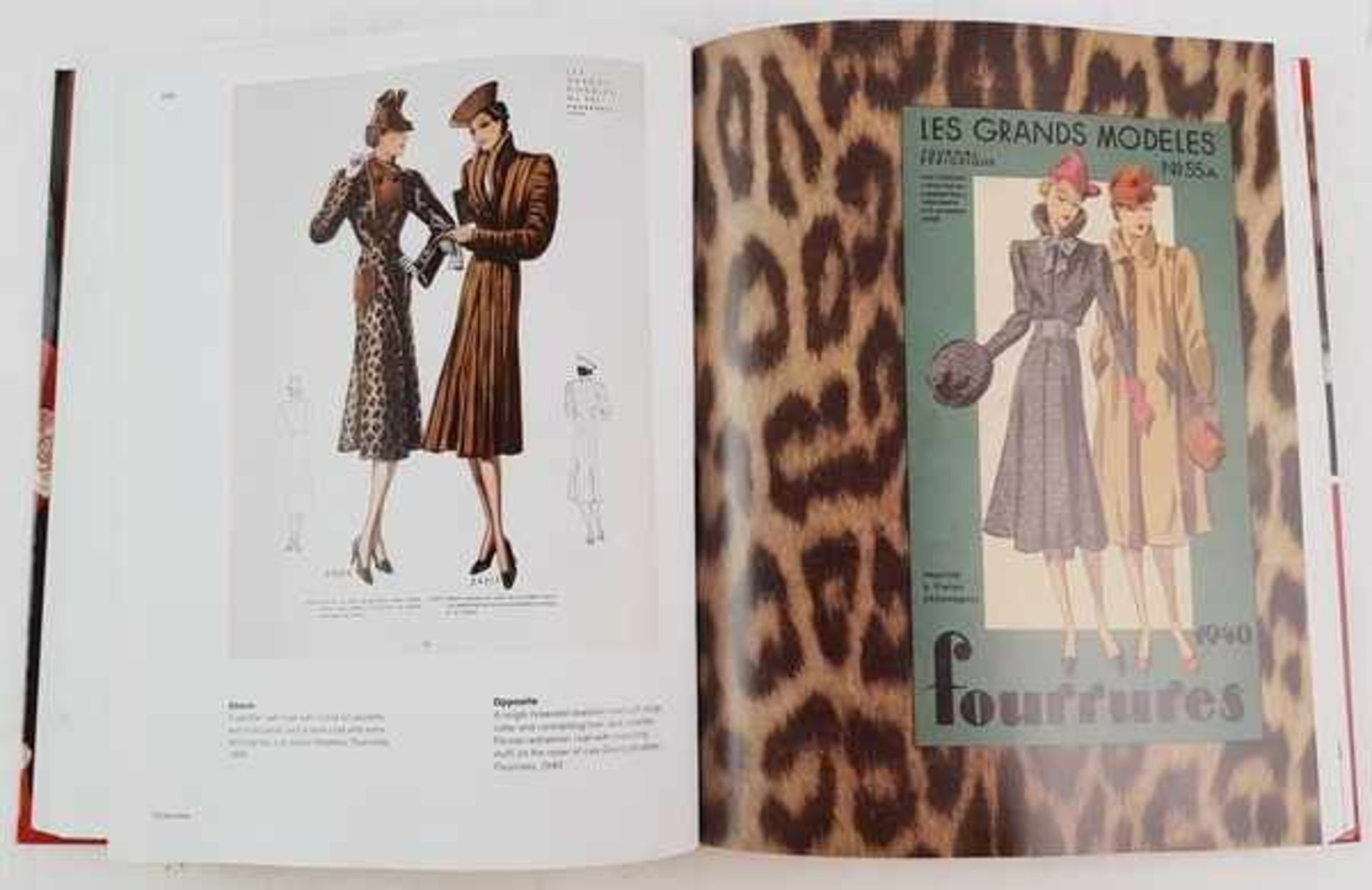 (Boeken) (Kunst) 3 uitgaves van Taschen over modeEen lot van 3 uitgaves van Taschen over mode: - Bild 2 aus 12