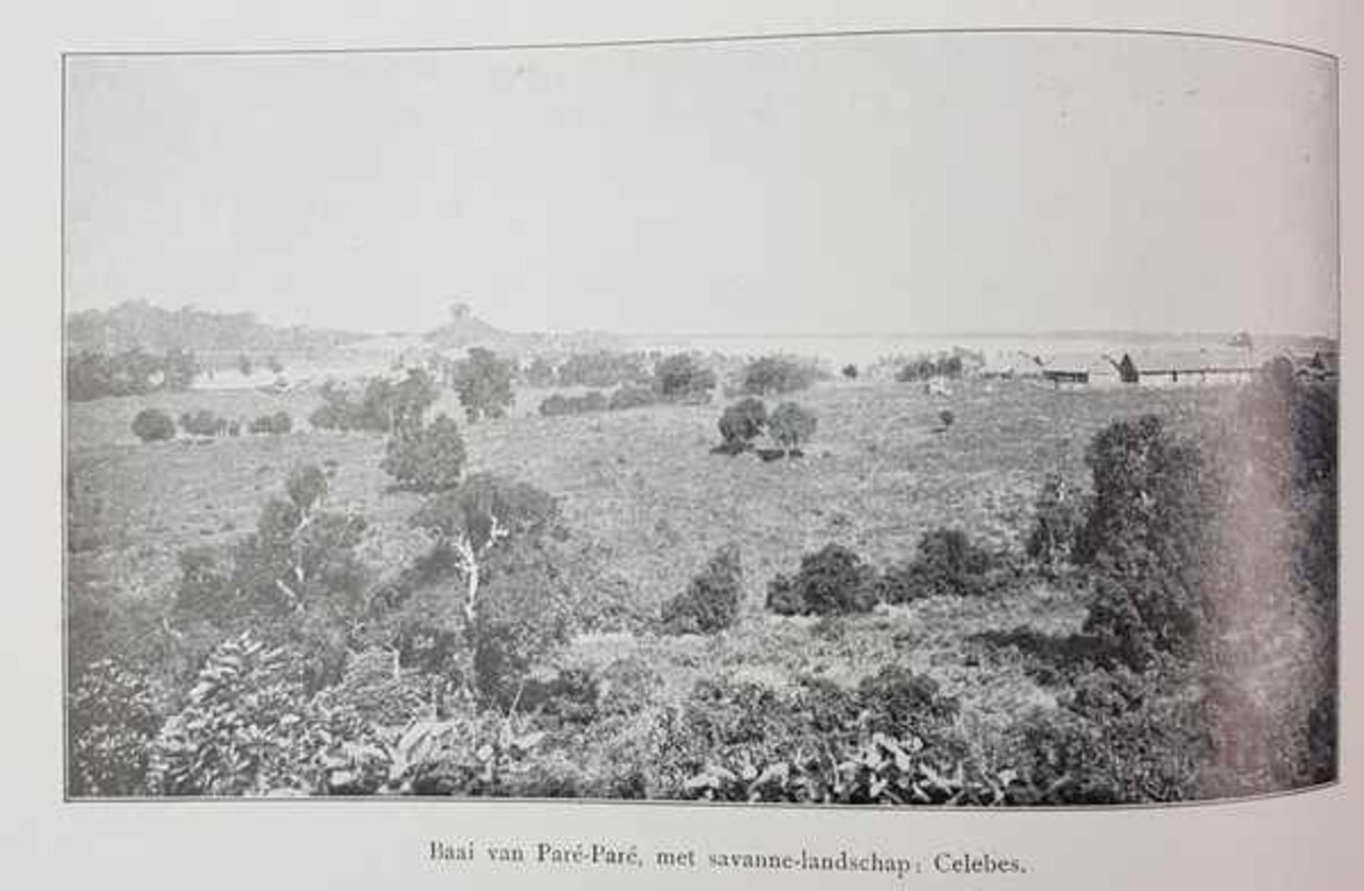 (Boeken) (Geschiedenis) H. Colijn (band C. Lebeau), Neerlands IndieH. Colijn - Neerlands Indie. Land - Bild 6 aus 10