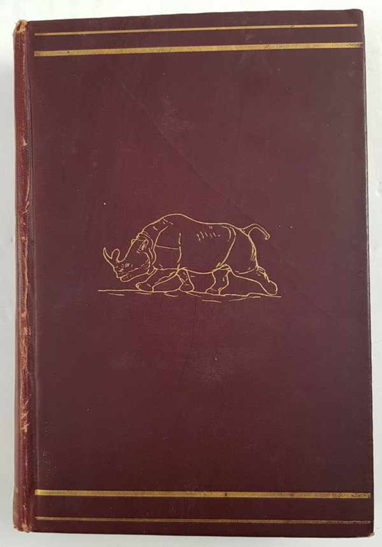 (Boeken) (Wetenschap) Henry Fairfield Osborn - The Age of Mammals, 1910Henry Fairfield Osborn -