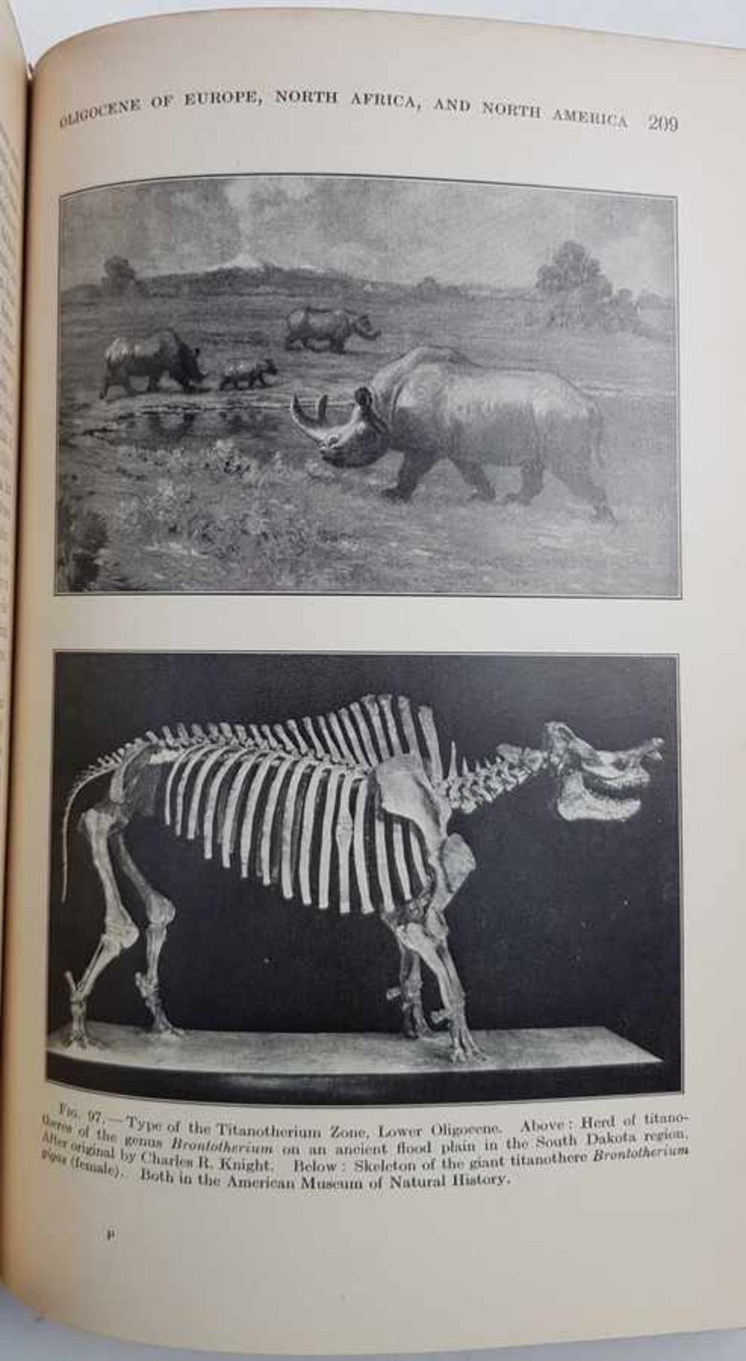 (Boeken) (Wetenschap) Henry Fairfield Osborn - The Age of Mammals, 1910Henry Fairfield Osborn - - Bild 8 aus 8