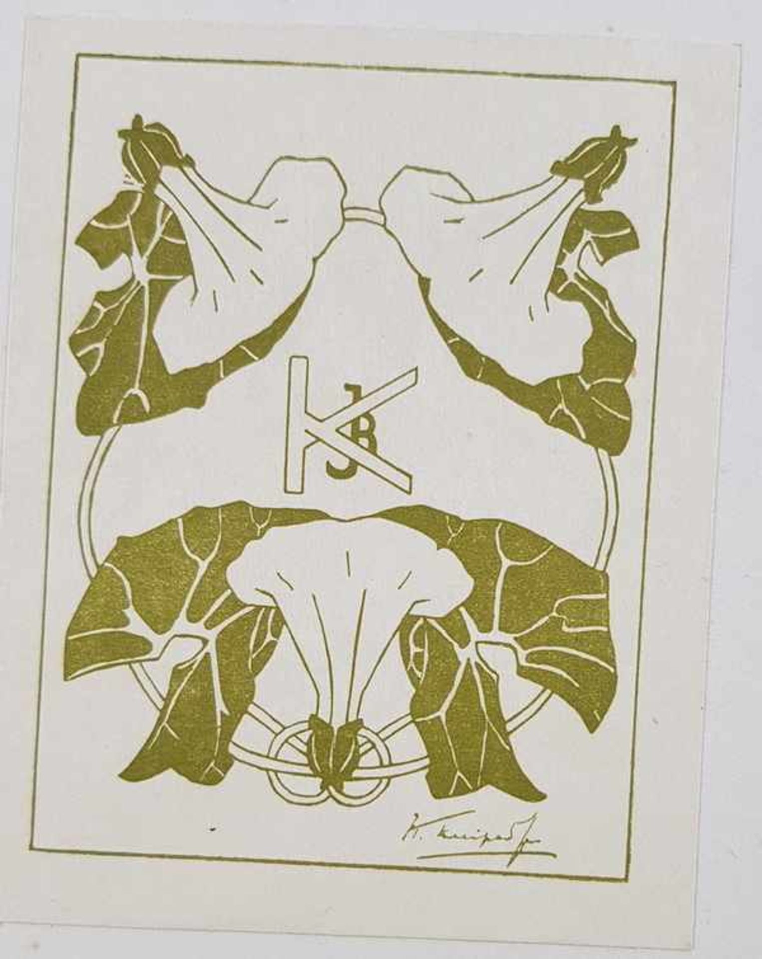 (Boeken) (Wetenschap) Henry Fairfield Osborn - The Age of Mammals, 1910Henry Fairfield Osborn - - Bild 3 aus 8