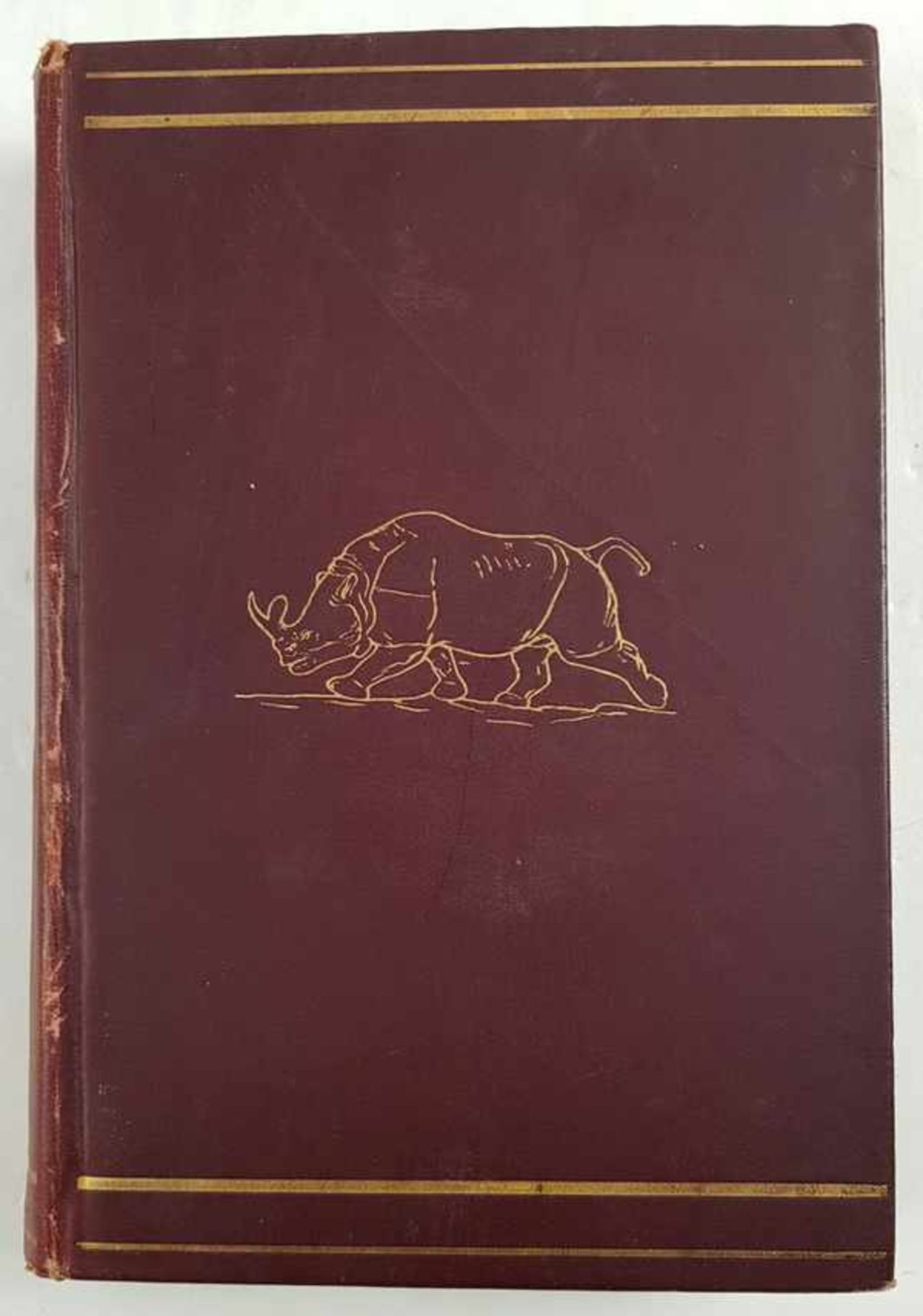 (Boeken) (Wetenschap) Henry Fairfield Osborn - The Age of Mammals, 1910Henry Fairfield Osborn - - Bild 7 aus 8