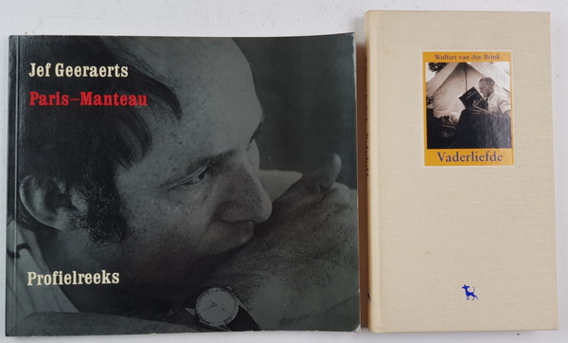 (Boeken) (Literatuur) een lotEen lot literatuur, o.a. van/over Simon Vestdijk en Jan Wolkers. [ - Bild 2 aus 4