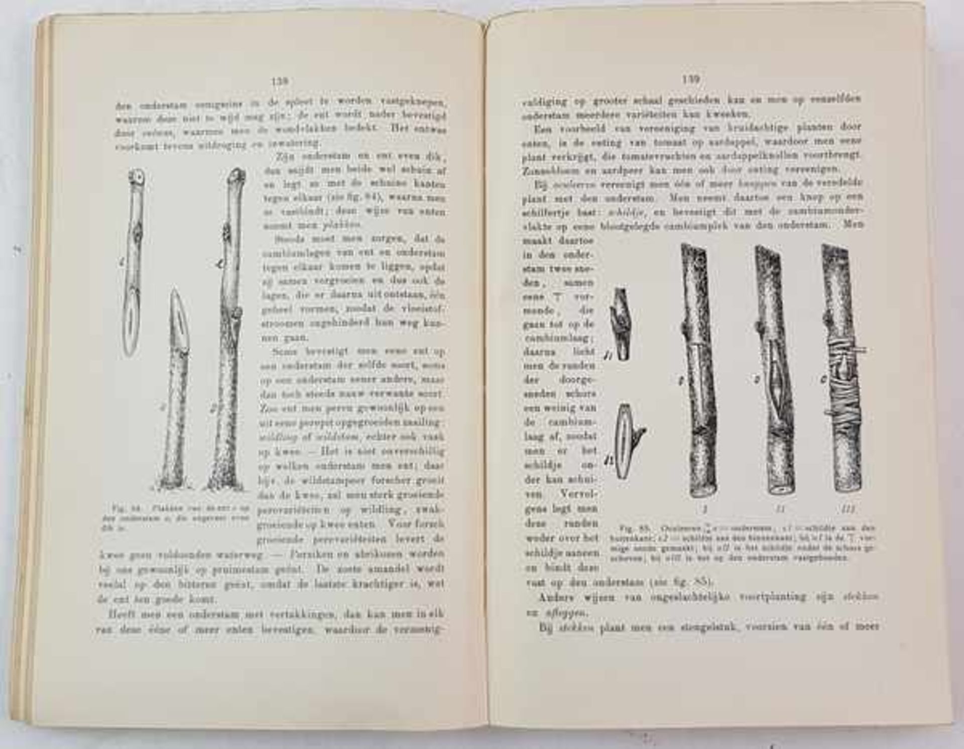 (Boeken) (Natuur) een lotEen divers lot boekjes over flora en fauna. [Totaal: 9]. Conditie: Algemeen - Bild 4 aus 4