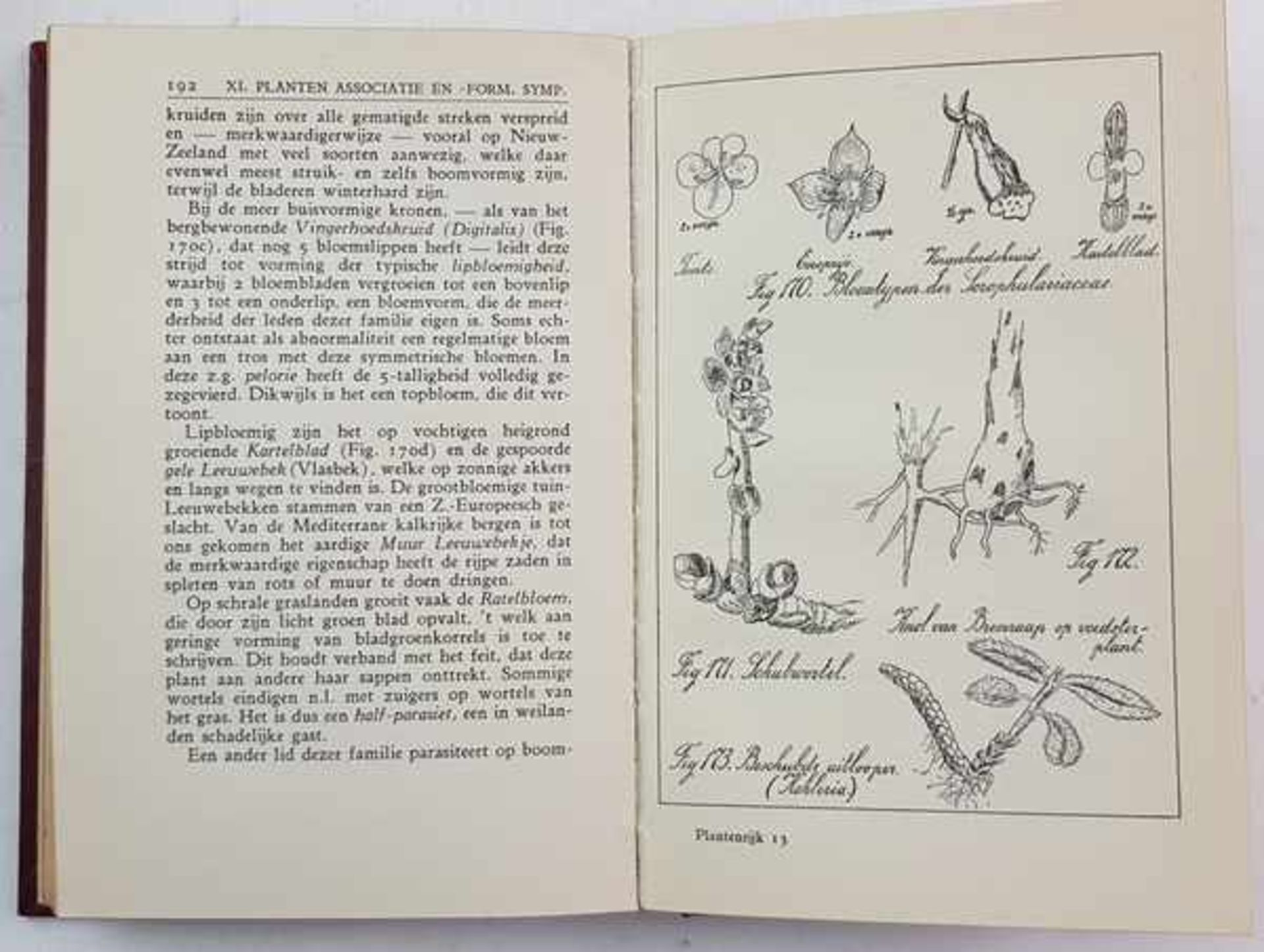 (Boeken) (Natuur) een lotEen divers lot boekjes over flora en fauna. [Totaal: 9]. Conditie: Algemeen - Bild 3 aus 4