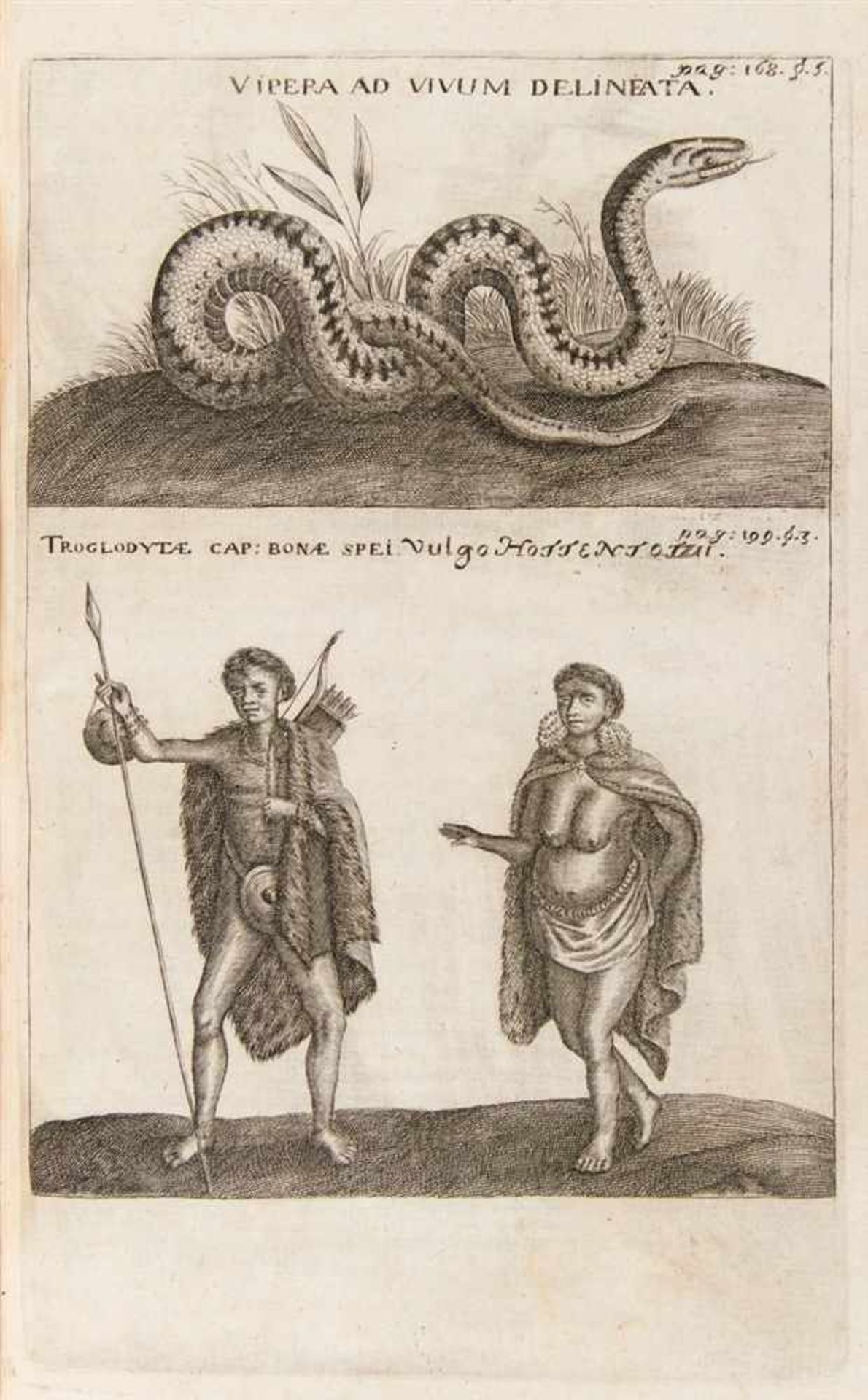 Ludolf, Hiob: Historia Aethiopica, sive brevis et succincta descriptio regni Habessinorum, quod - Bild 3 aus 4