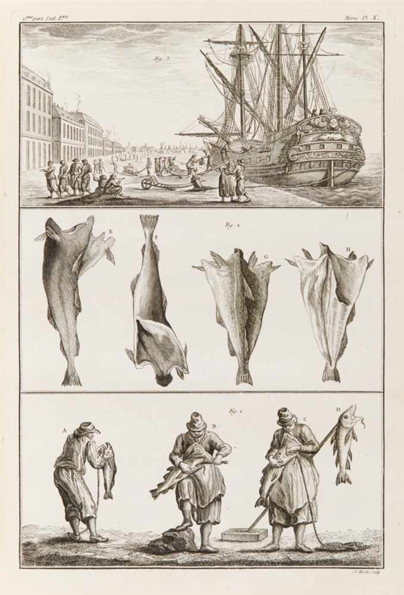 Duhamel du Monceau, Henri-Louis u. Jean-Louis De la Marre: Traité général des pesches, et histoire - Image 4 of 6