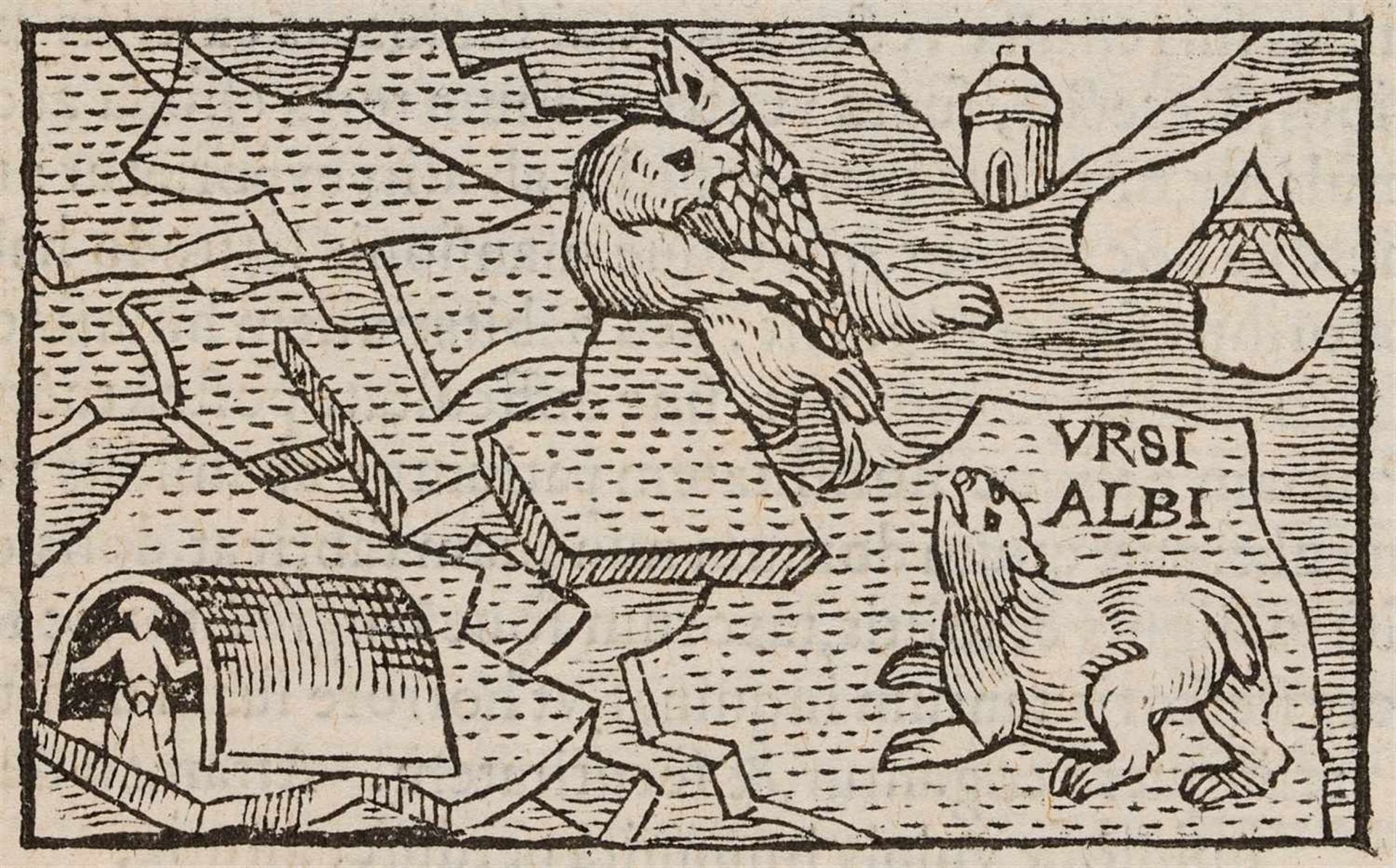 Magnus, Olaus: Historia de gentibus septentrionalibus. Antwerpen: Plantin 1558. 15,3 x 9,4 cm. Mit - Bild 3 aus 4