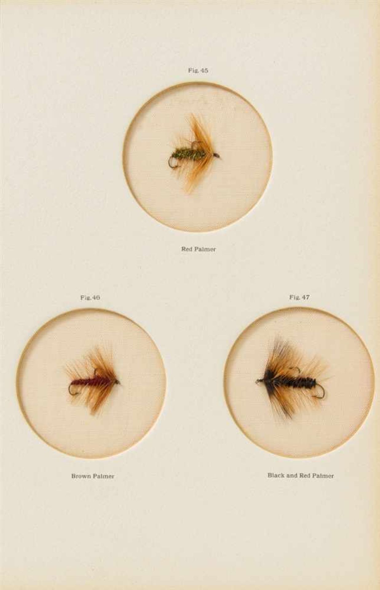 Ronalds, Alfred: The fly-fisher's entomology. With directions for making the artificial