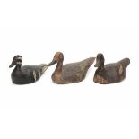 A collection of three wooden decoy ducks, all with remnants of polychromy. 19th centuryLength 36, 30