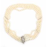 A three strand cultured pearl choker or 'collier du chien' with a 14 carat white gold clasp, set