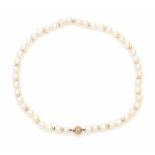 A cultured pearl necklace with 14 krt yellow gold clasp and spacers. Pearls have a diameter of ca.