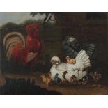European school 19th centuryRooster, chicken and chicks. Not signed. Not framed.canvas 75 x 95