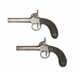 A pair of muzzle loading ladies percussion pistols, with carved walnut grips. Circa 1800Length 18