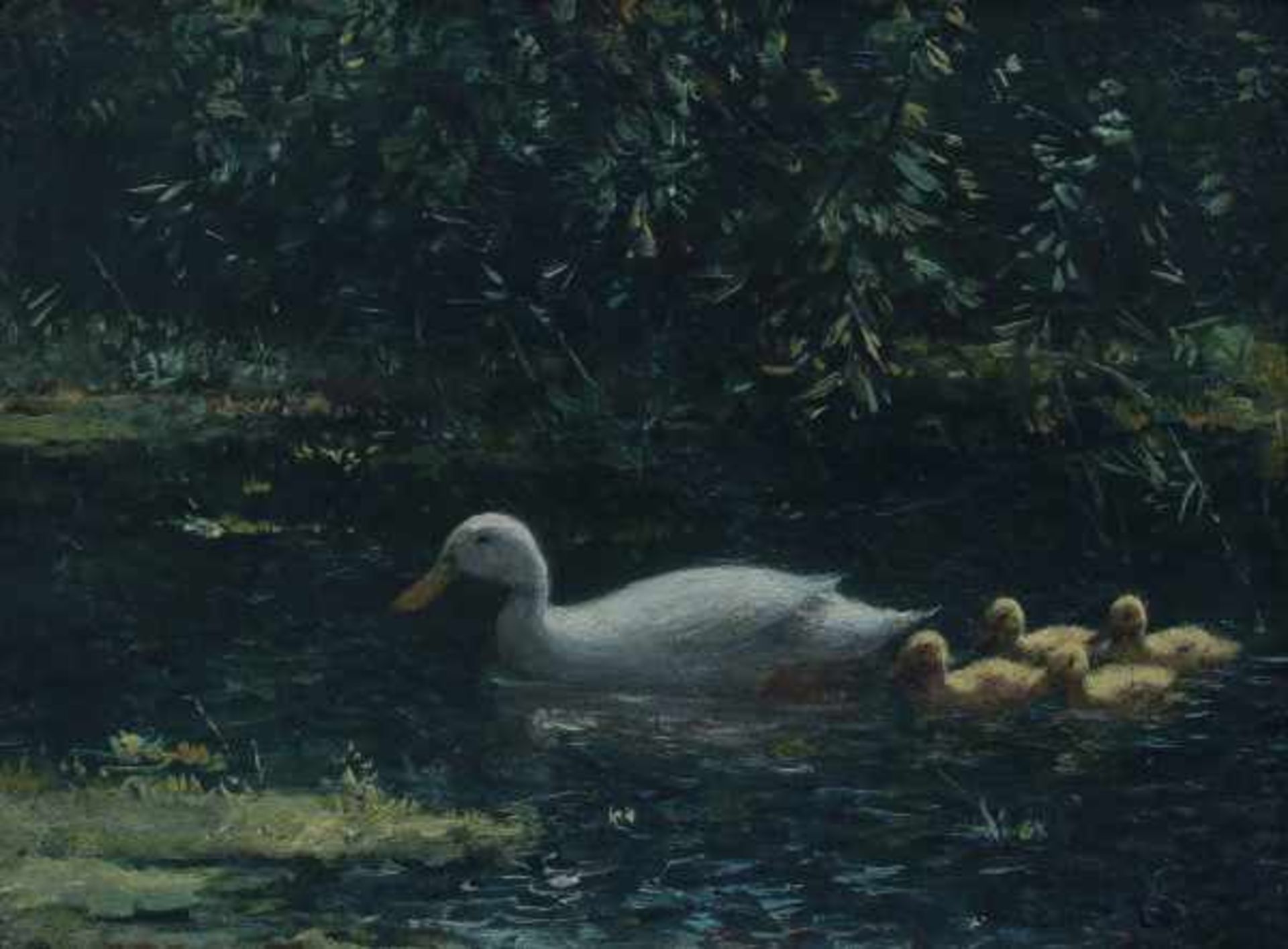 Constant Artz (1870-1951)Pond with duck and her ducklings. Signed lower right.panel 17 x 23