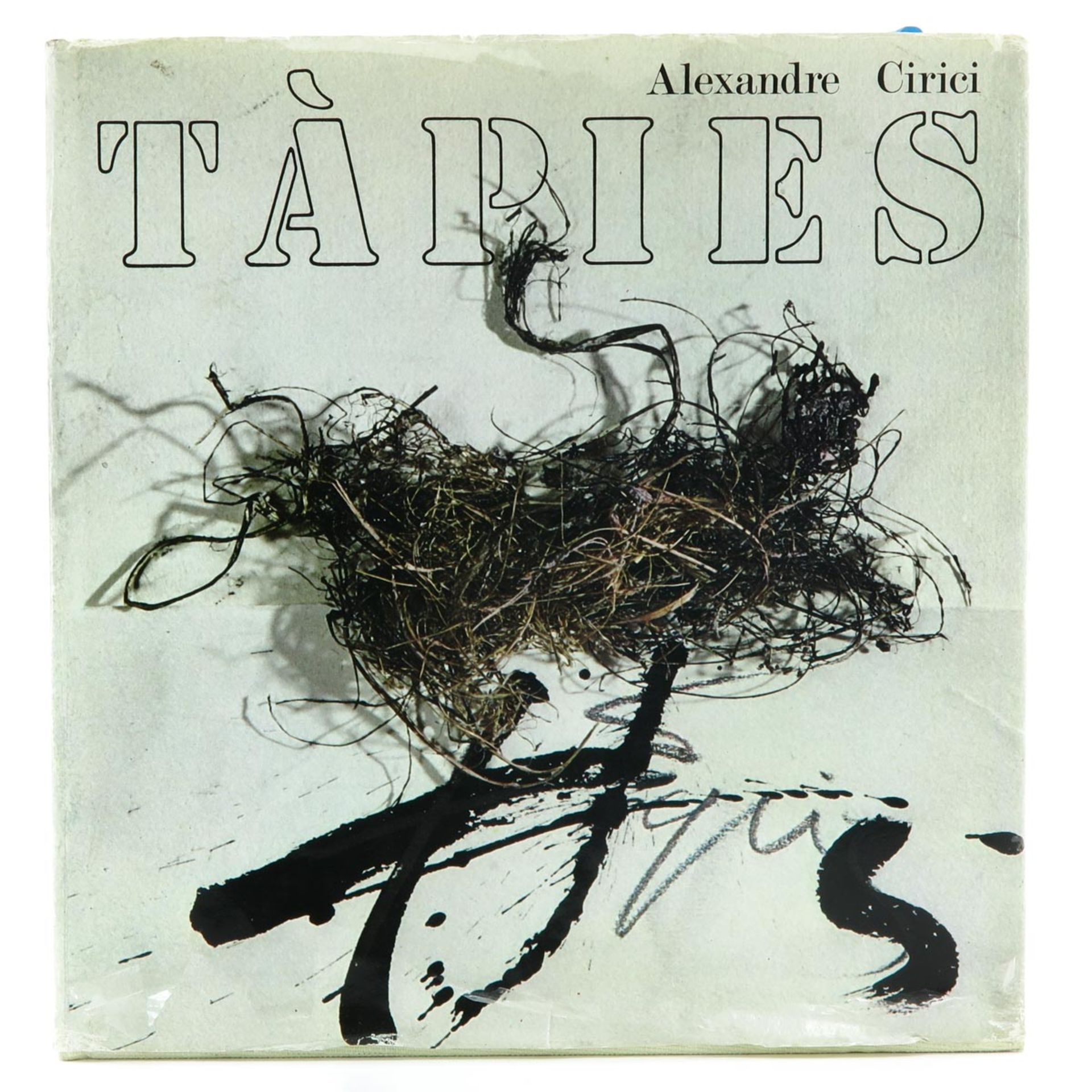 A Book Titled Tapies