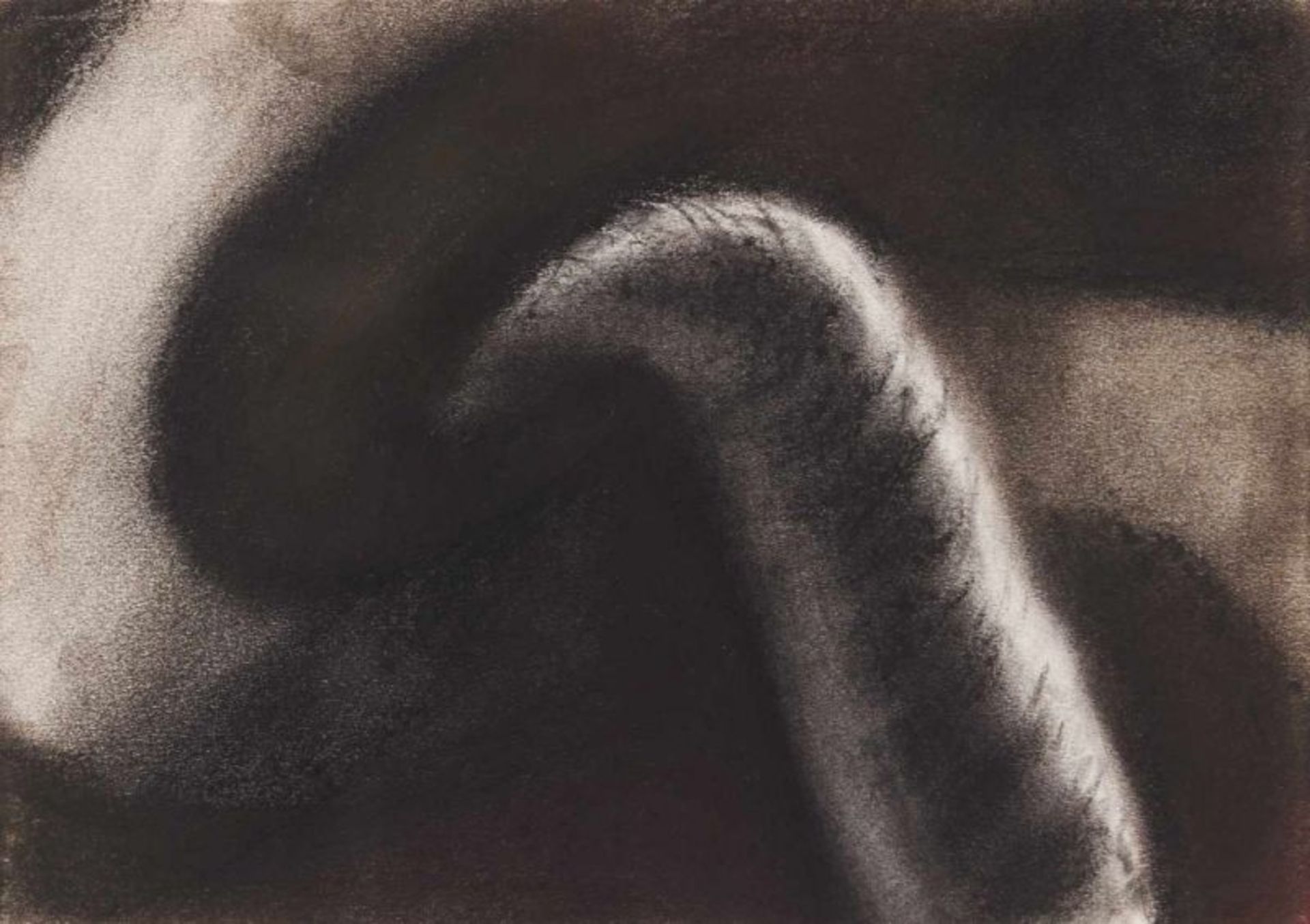 Ana Marchand (n.1947)"Les Infiniment Petits"Graphite on paperSigned and dated 1991 on the