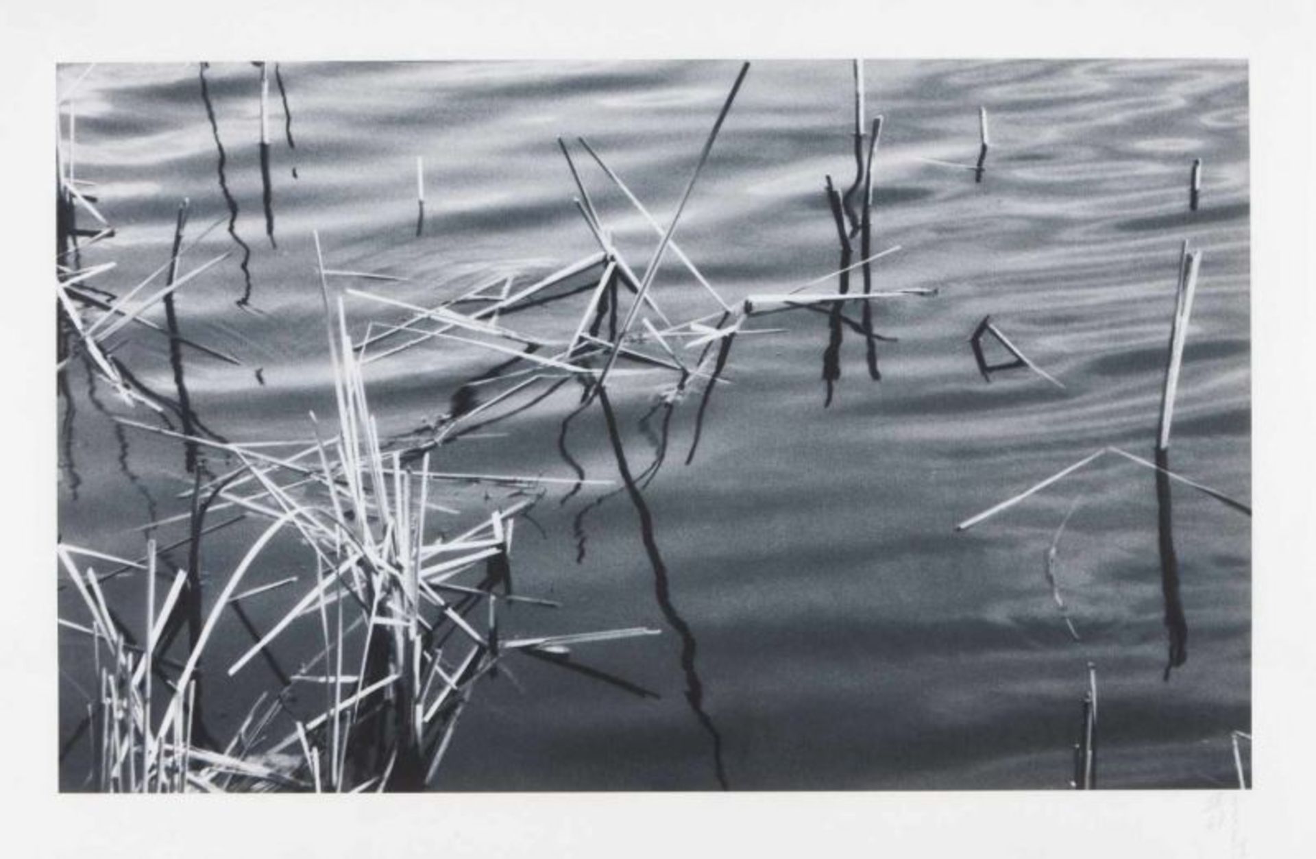 João Penalva (n. 1949)"Reeds II" Iris print on japanese paper Gifu ShojiSigned and marked AP65x98