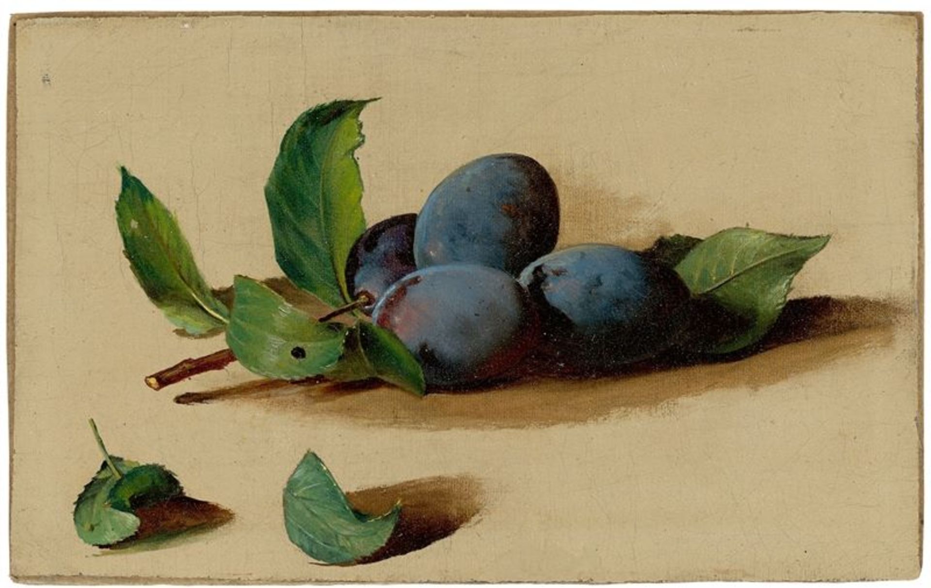 Ferdinand Küss (Wien 1800 – 1886 Pörtschach)Pflaumen. Öl auf Leinwand, auf Karton aufgezogen. 16,5 ×