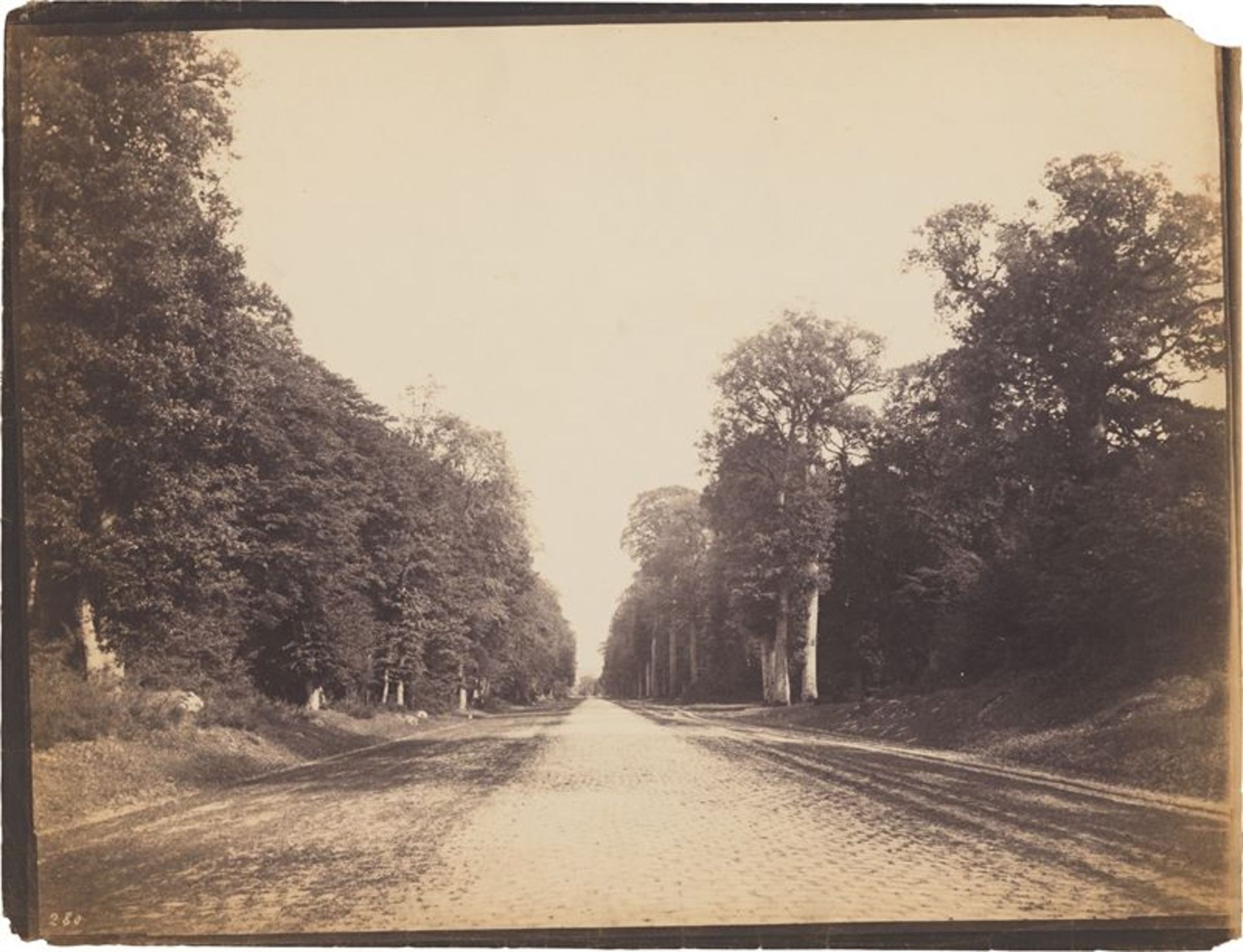 Eugène Cuvelier (Arras 1837 – 1900 Thomery)Route Pavé de Chailly, Forêt de Fontainebleau. Um