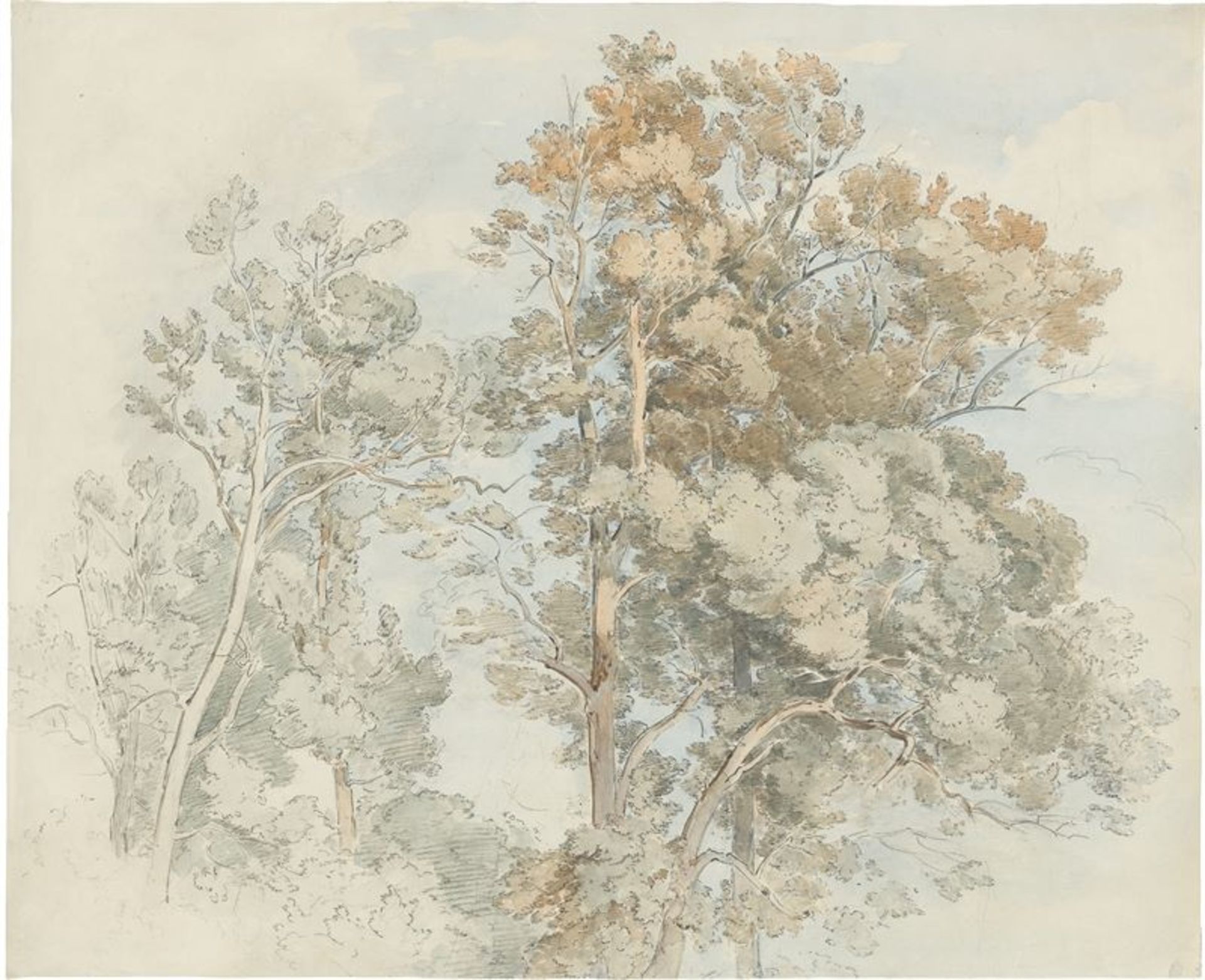 Christian Morgenstern (Hamburg 1805 – 1867 München)Baumgruppe. Aquarell über Bleistift auf Papier.