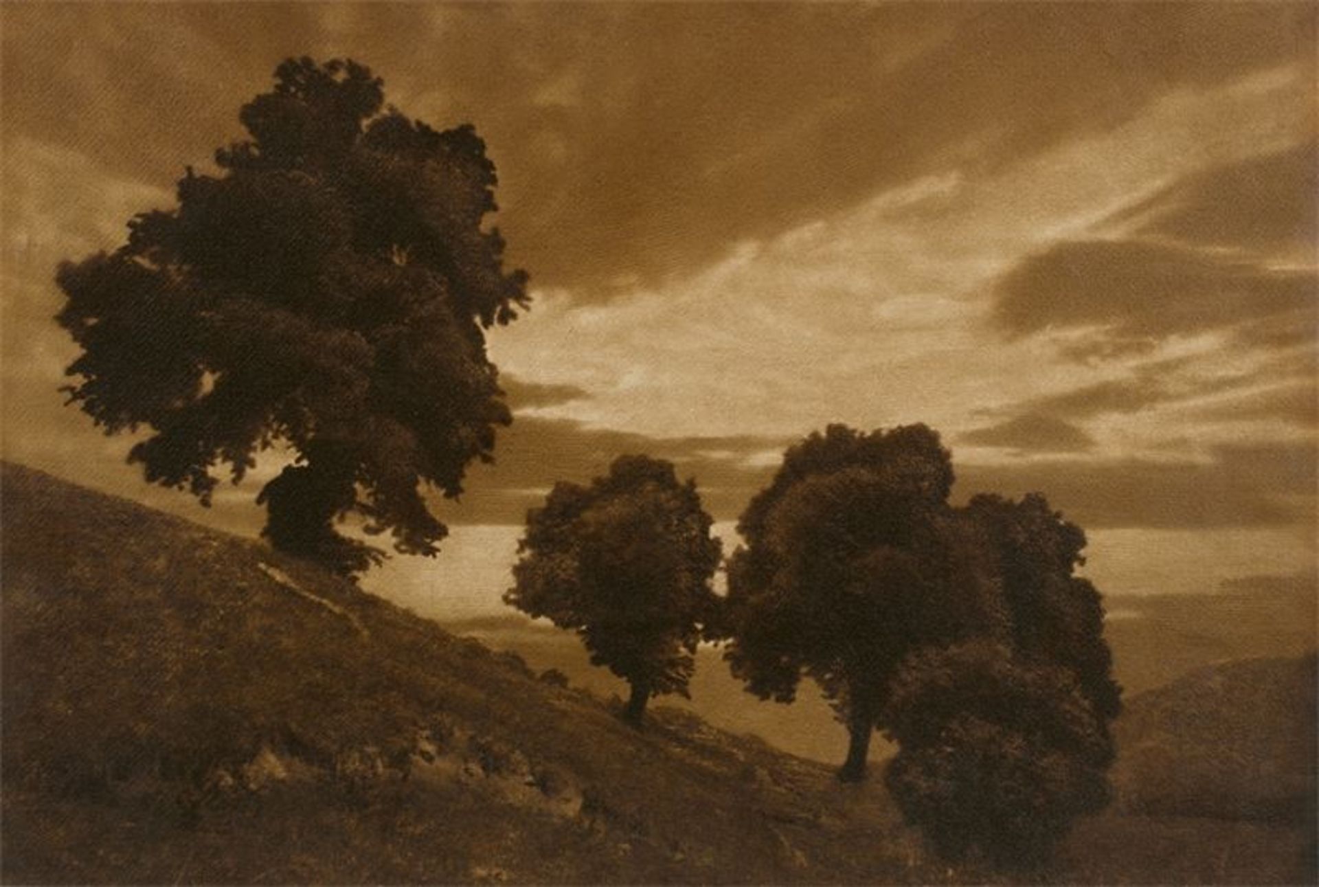 Heinrich Kühn (Dresden 1866 – 1944 Birgitz bei Innsbruck)Landschaft mit Linden. 1898Vintage.