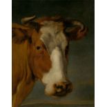 Umkreis des Nicolaes Berchem (Haarlem 1621/22 – 1683 Amsterdam)Porträt einer Kuh. Nach 1650Öl auf
