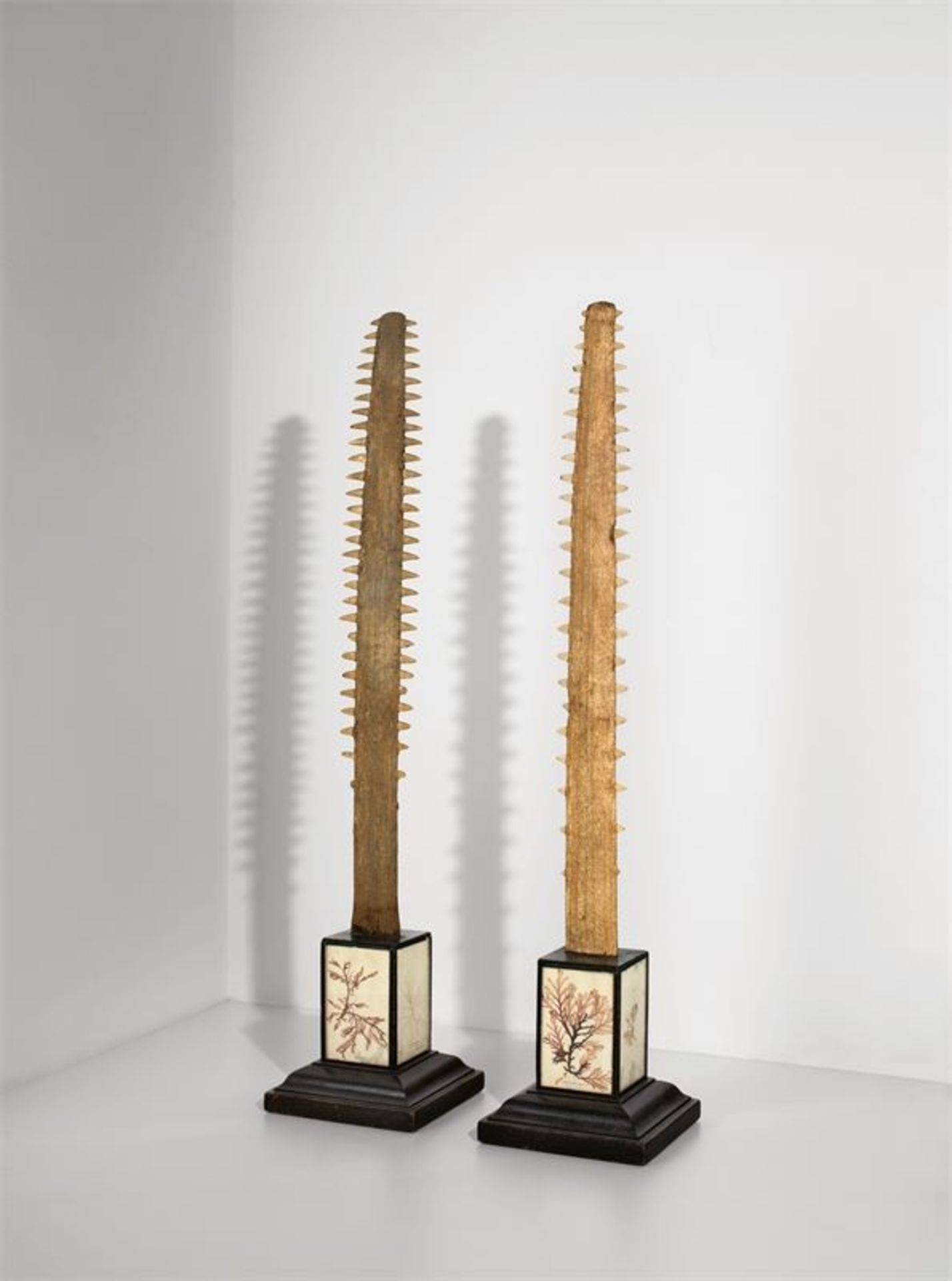 Englisch (1. Hälfte des 19. Jahrhunderts)Paar „Obelisken“ mit Rostrum des Sägerochens (Pristis).