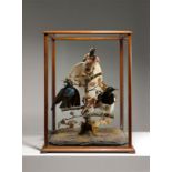 Wohl Jane Catherine Ward (London 1817 – 1889 Sydney)Taxidermischer Schaukasten mit „