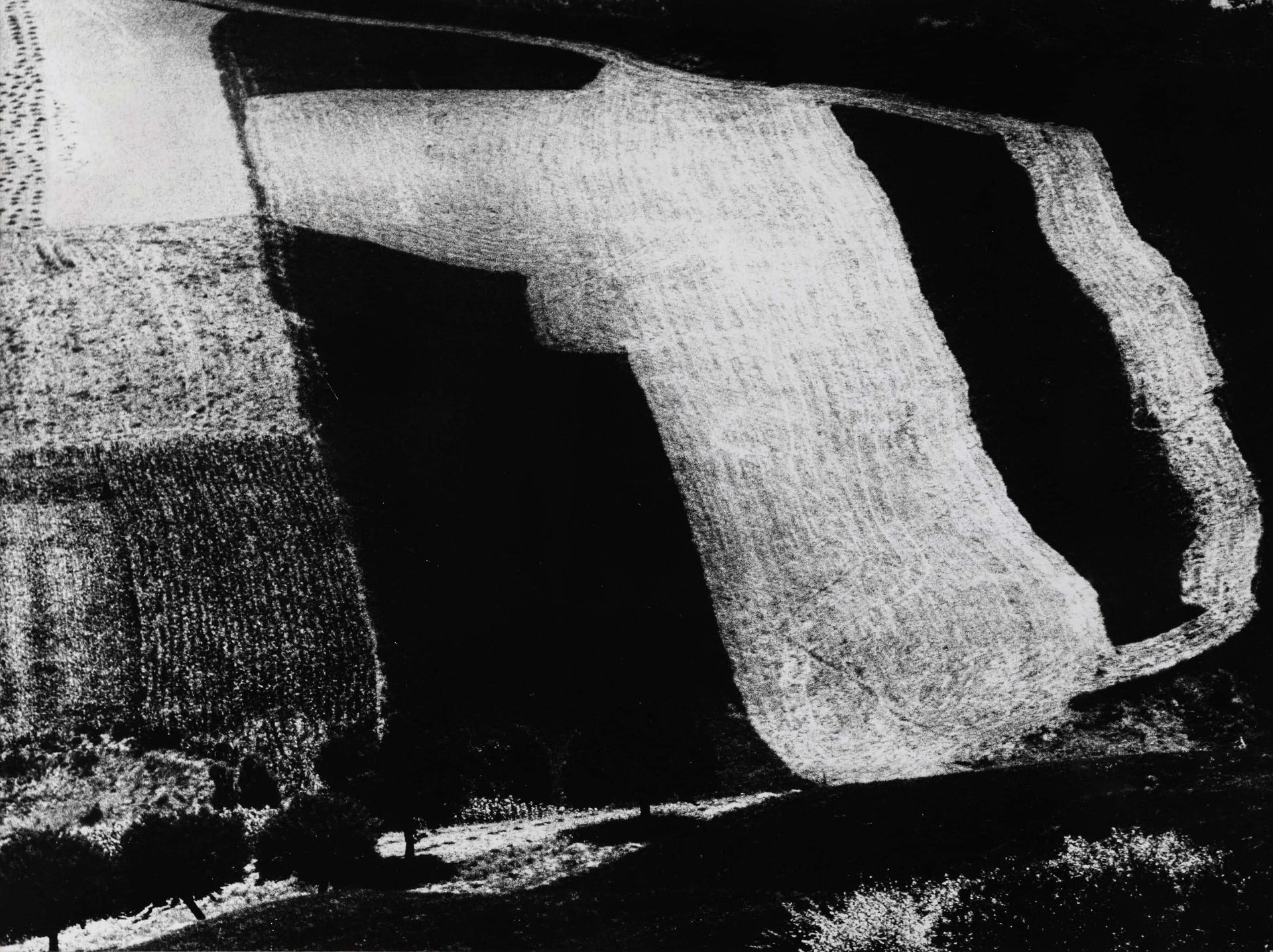 MARIO GIACOMELLI