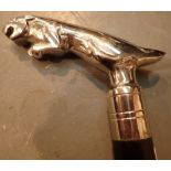 Jaguar handled walking stick