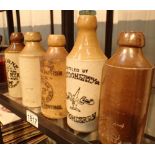 Five mixed ginger beer bottles including