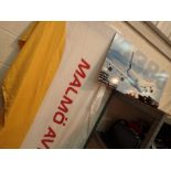 Picture A380 Swedish Malmo Aviation flag and two contemporary prints on canvas