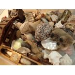 Tray of mixed collectables including compact seashells penknife etc