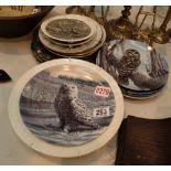 Collection of owl related cabinet plates