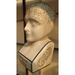 Large phrenology head H: 30 cm